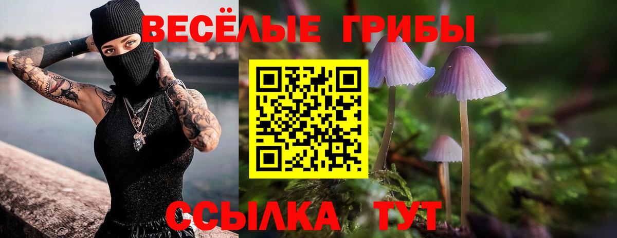 Псилоцибиновые грибы Psilocybine cubensis Холмск